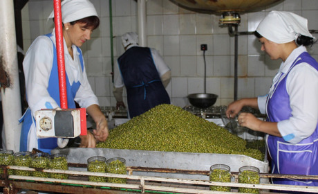 Як змінювався Сатанівський плодоконсервний завод: спогади з 2015 року