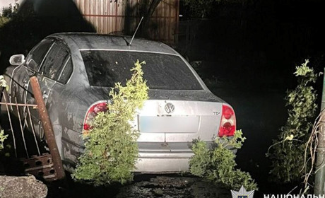 У понад 10 разів перевищив норму алкоголю: автослюсар у Старокостянтинові розтрощив чуже авто