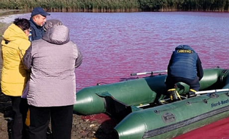 Вода в ставку на Одещині стала яскраво-червоною: екологи шукають причину