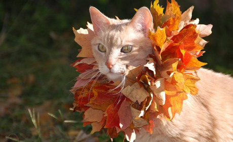 Погода на лівобережжі Херсонщини з 23 по 25 жовтня: прогноз Українського гідрометеоцентру