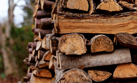 Субсидія на дрова: як отримати допомогу на тверде паливо