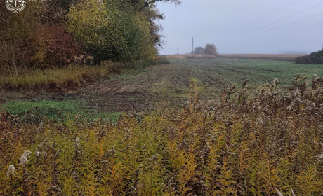 Суд повернув державі землю заказника «Людвище»