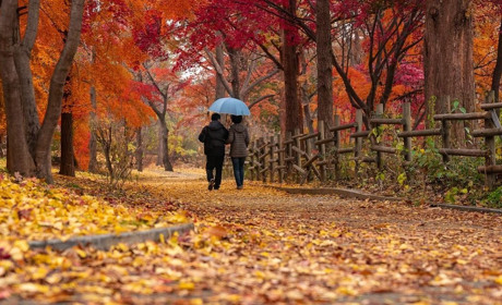 Осінній тиждень у Гадячі: хмари, дощі та потепління