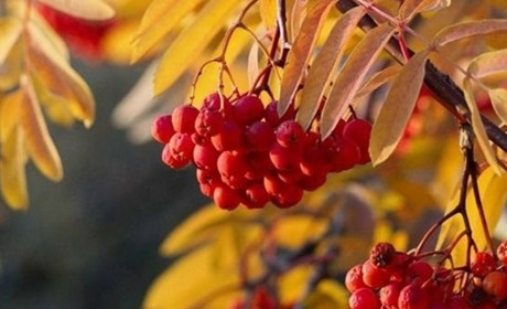 Погода у Старокостянтинові на 27 жовтня-2 листопада: прохолодний старт тижня зміниться потеплінням