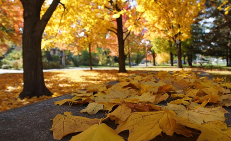Яке свято сьогодні: хто відзначає іменини, календар державних та професійних свят на листопад 2025