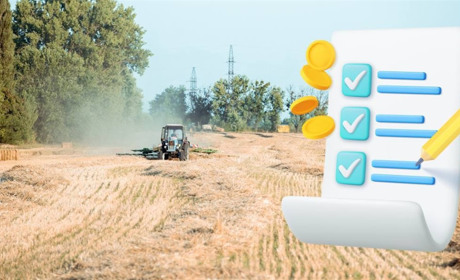 Як отримати грант на розвиток сільського господарства: покрокова інструкція