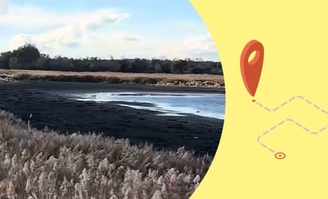 У П’ятихатках майже висох ставок Жовтенька: водойми Дніпропетровщини зникають на очах