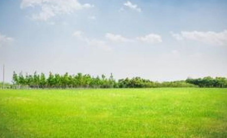 До якого контролюючого органу мають право звернутися громадяни для звірки даних щодо плати за землю?