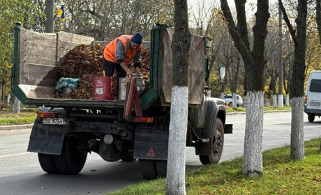Осінь без диму: як Первомайськ долає проблему опалого листя
