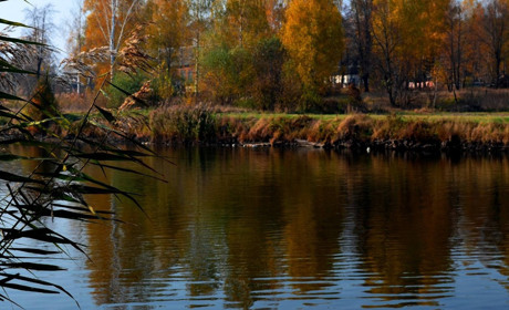 Як живе українське село Прибинь на Корюківщині, розташоване біля росії. Що болить місцевим жителям