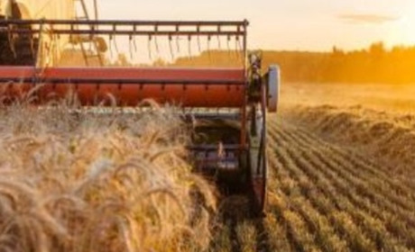 Засоби захисту рослин оптом: комплексні рішення для великих аграрних підприємств