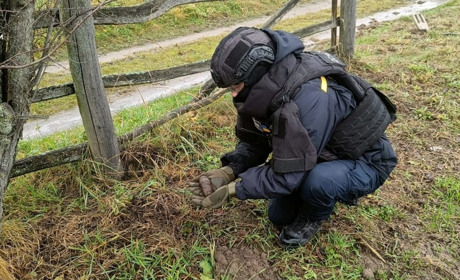Небезпечна знахідка на Звягельщині: сапери знешкодили снаряд