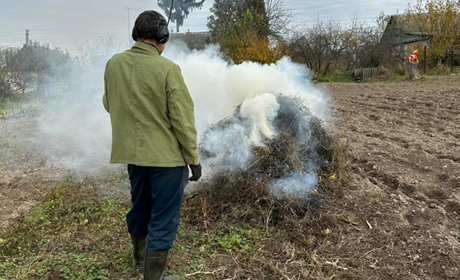 Спалювання сухої трави на Звягельщині: порушника оштрафують на понад 3 тисячі гривень