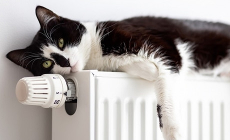 В Ізмаїлі визначили дату початку опалювального сезону 2025–2026 років