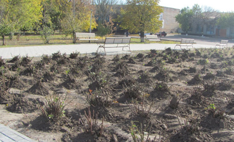 Віртуальна екскурсія Сірогозщиною: склади осінь з пазлів