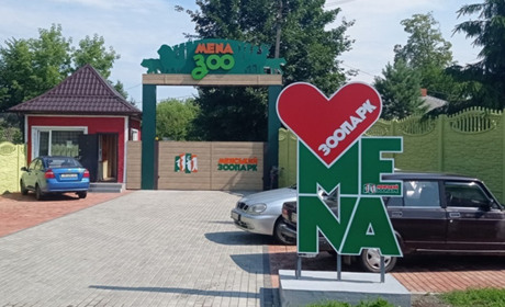 Менський зоопарк планує придбати верблюда