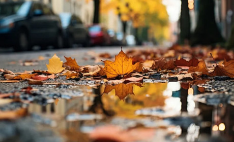 Дощі, хмари й осіння прохолода: якою буде погода у Гадячі протягом тижня