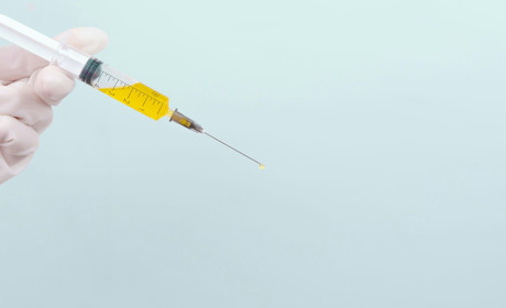 Безкоштовне щеплення домашніх тварин від сказу на Кагарличчині: де проводитимуть 11 та 12 листопада