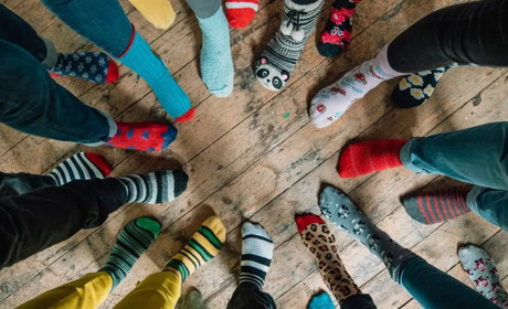 10 листопада: День непарних шкарпеток, Міжнародний день їжака та інші свята, події, дати