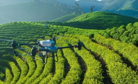 Дрони в полі: як швидко запустити точне обприскування і моніторинг без хаосу