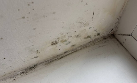 Чому з’являється пліснява на вікнах і чим вона небезпечна для здоров’я