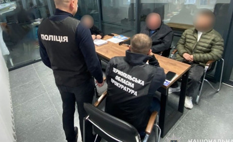 Вирубали понад 600 дерев: підприємцю і працівнику лісгоспу висунули підозру