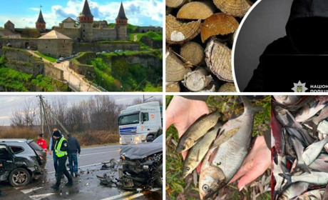 У сусідів: зариблення Південного Бугу, 3D-модель Кам’янецького замку, шахраї в ділі, аварія