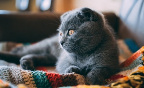 Погода на лівобережжі Херсонщини з 16 по 18 листопада: прогноз Українського гідрометеоцентру