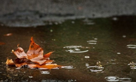 Дощі й похолодання: якою буде погода у Гадячі цього тижня