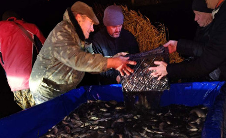 Товариство «Рибалка» завершило цьогорічне зариблення Малого Паськівського ставка в Кагарлику