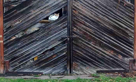 Погода у Золотоноші 17 - 23 листопада: у прогнозах перший сніг, але...