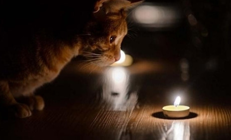 Глухів залишиться без світла через ремонті роботи