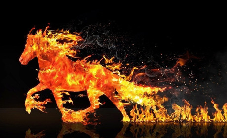 Символ 2026 року: що принесе Червоний Вогняний Кінь