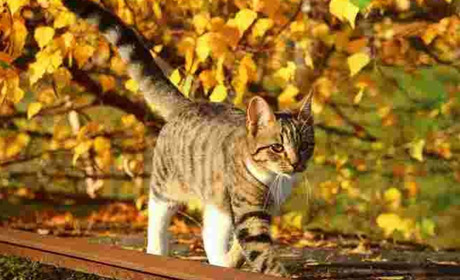 Погода на лівобережжі Херсонщини з19 по 21 листопада: прогноз Українського гідрометеоцентру