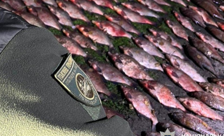 У Градизькій громаді викрили браконьєра з 300 кг риби