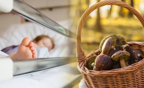 Діти віком 7 та 9 років отруїлися грибами