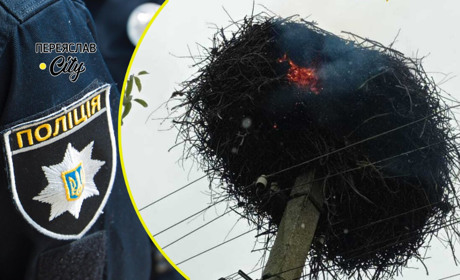 У Переяславі на стовпі загорілося гніздо лелеки: хроніка поліції