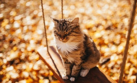 Погода на лівобережжі Херсонщини з 23 по 25 листопада: прогноз Українського гідрометеоцентру