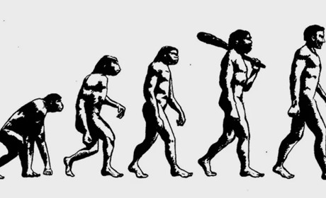 24 листопада: Всесвітній день еволюції, Всесвітній день сіамських близнюків та інші свята, події