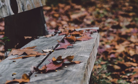 Дощі та мокрий сніг: якою буде погода у Гадячі цього тижня