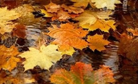 Прогноз погоди на 24-26 листопада