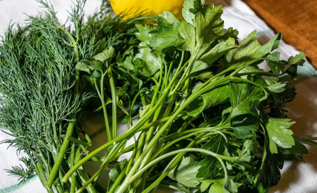 Посівний календар на грудень 2025: календар ідеальних днів для зимового посіву