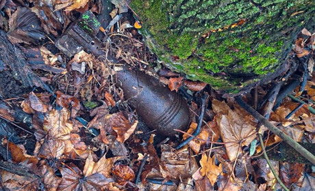 На Сумщині рятувальники знищили шість вибухонебезпечних предметів