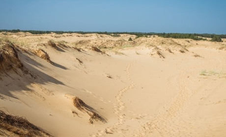 Висушена земля, пилові бурі, зникаючі степи — війна прискорила опустелювання на півдні України