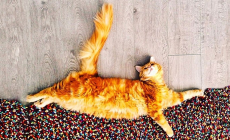 Погода на лівобережжі Херсонщини з 26 по 28 листопада: прогноз Українського гідрометеоцентру