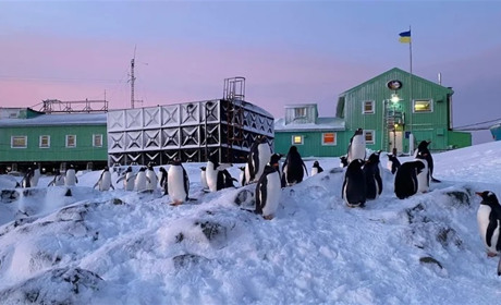 Полярники з “Академіка Вернадського” провели урок з Антарктики — серед учасників школярі Сірогозщини