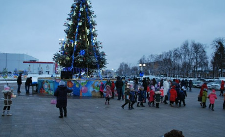 У Золотоноші встановлять новорічну ялинку, подаровану мешканцями міста