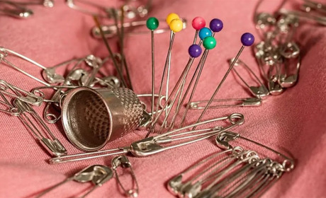 27 листопада: День шпильок та голок, День захисту черепах та інші свята, події, дати