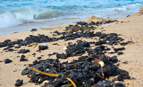 Чорне море знову накриває пляма мазуту через катастрофу річної давнини