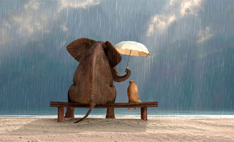 28 листопада: Всесвітній день милосердя, Всесвітній день інформації та інші свята, події, дати